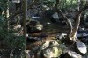 Thumbs/tn_IMG_1171.jpg