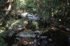 Thumbs/tn_IMG_1173.jpg