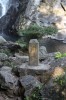 Thumbs/tn_IMG_1177.jpg