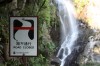 Thumbs/tn_IMG_1181.jpg
