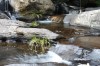 Thumbs/tn_IMG_1203.jpg
