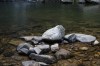 Thumbs/tn_IMG_1213.jpg