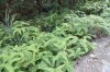 Thumbs/tn_IMG_1238.jpg