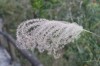 Thumbs/tn_IMG_1241.jpg