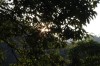 Thumbs/tn_IMG_1242.jpg