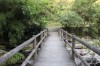 Thumbs/tn_IMG_1243.jpg