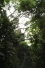 Thumbs/tn_IMG_6470.jpg
