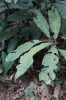 Thumbs/tn_IMG_6479.jpg