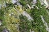 Thumbs/tn_IMG_6484.jpg