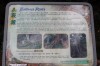 Thumbs/tn_IMG_6486.jpg