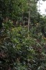 Thumbs/tn_IMG_6487.jpg