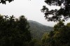 Thumbs/tn_IMG_6488.jpg