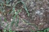 Thumbs/tn_IMG_6489.jpg