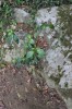 Thumbs/tn_IMG_6491.jpg