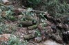 Thumbs/tn_IMG_6492.jpg