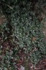 Thumbs/tn_IMG_6493.jpg