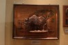 Thumbs/tn_IMG_6246.jpg