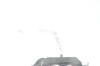 Thumbs/tn_IMG_5011.jpg